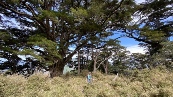 楠梓仙溪上南玉山1373088