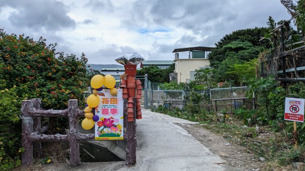 關渡花海,大龍峒孔廟,保安宮,迪化街2345343