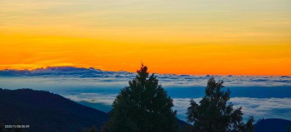 #太平山 #望洋山 #觀雲步道 #日出 #雲海 11/82931209