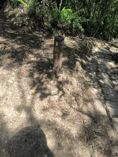 20240923微笑山線：【天上山系】烘爐地土地公段2892439