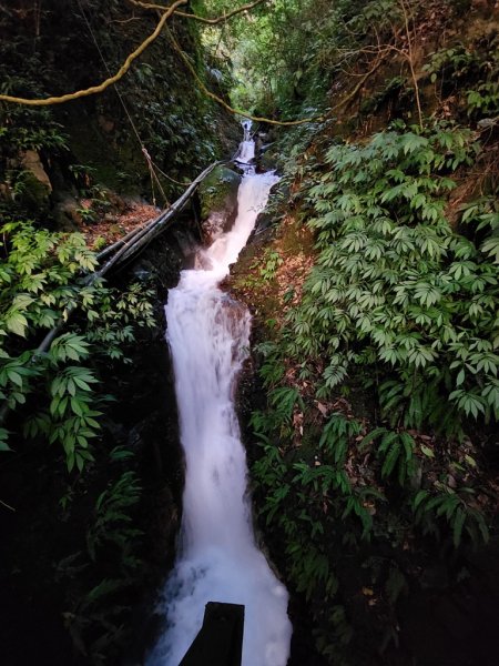 1121118【走遍陽明山】擎天崗連走魚路古道2356349