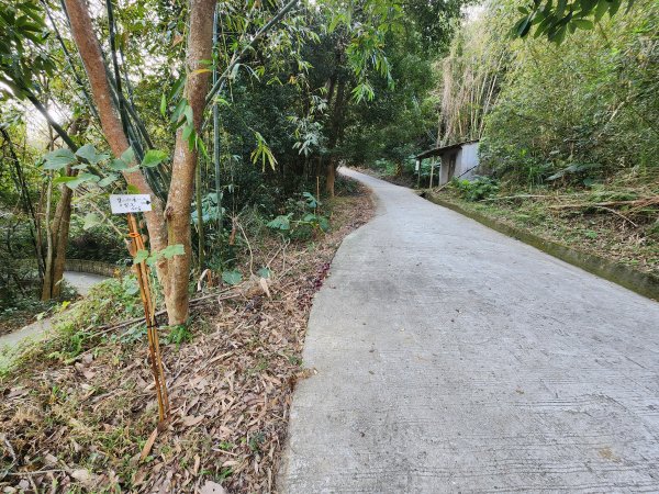 20260223柯子湖山菜堂山尖山沙湖壢山與寶山水庫基石3012610