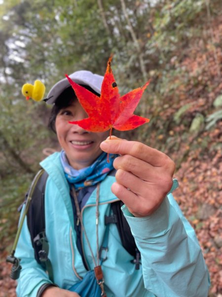 霞喀羅古道-養老進-白石駐在所折返2677491