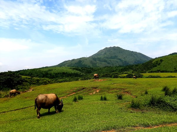 金面山、絹絲瀑布2532340