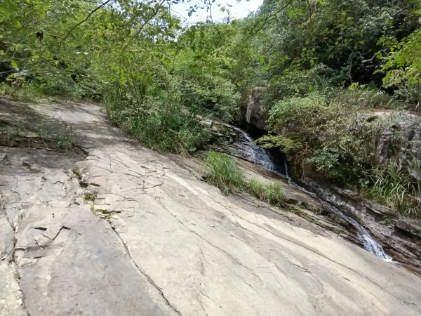 基隆市暖東峽谷大環步道+大菁農場+暖東峽谷小環步道(大O+小O)2832641
