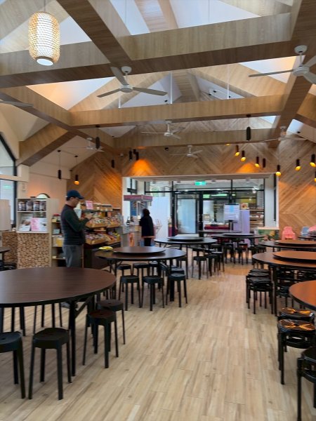 新北 三峽 桃園 復興 東眼山自導式步道2995397