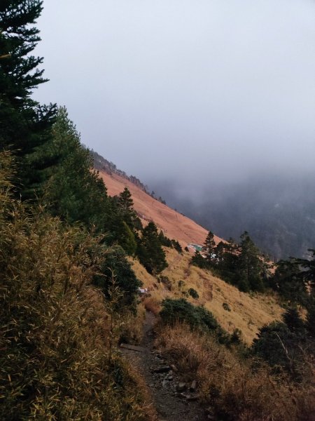 1/1元旦雪主東2681437