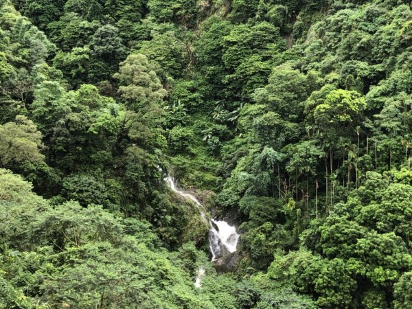 嘉義連峰獨立山大巃頂紅楠坑觀音石阿拔泉633130