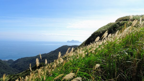 大溪,灣坑頭山,福隆790063