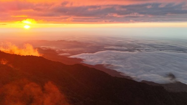 加里山大坪路線2660514