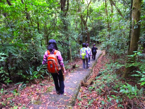 台北小溪頭環狀步道、翠山步道、大崙尾山426068