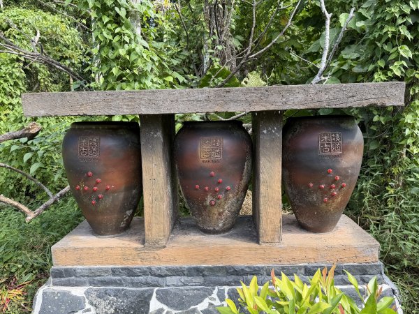 [漫遊縱谷 愛在花東] 2025_1018 米棧古道(第二回)2921142