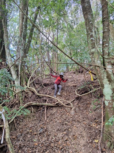 雪見駐在所+雪見山202512252971630