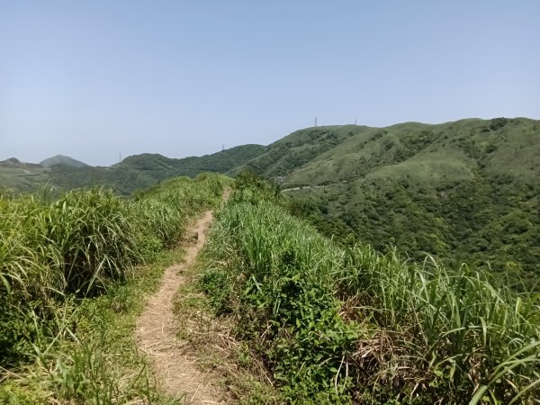 雙溪區不厭亭+牡丹山+樹梅坪+鷹石岩山神廟+不厭亭+奉憲示禁碑+三貂崙+不厭亭8字走2766310