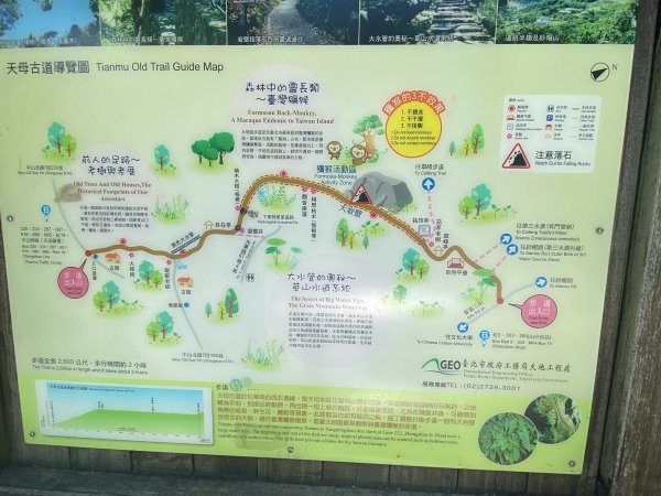 《陽明山秘境健行｜翠峰瀑布 × 天母古道 夏日涼爽路線》2852234