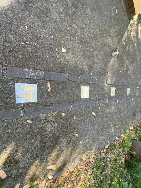 【四獸山 Short】虎豹象先行！獅山封閉中，等新步道開箱再相見2888832