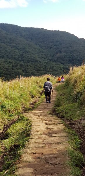 頂山石梯嶺步道777626