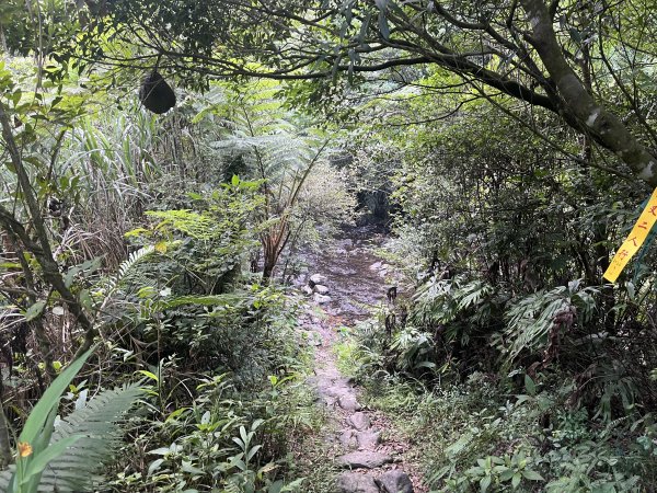 [淡蘭古道] 2024_0623 中路第五段-烏山越嶺古道2533819