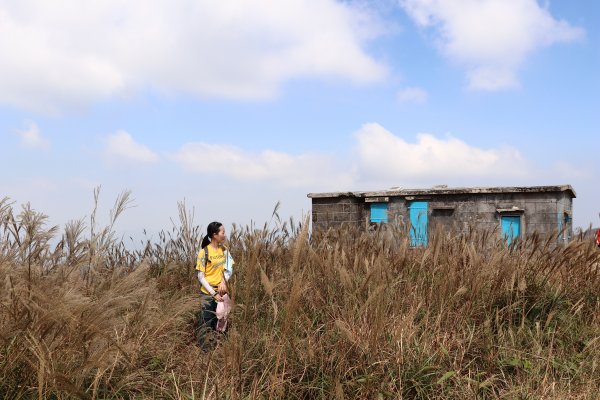 香港山系 － 大嶼山931044