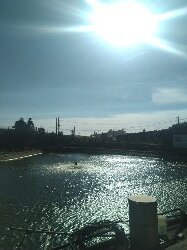 霄裡好風光,運動樂悠遊-永安漁港2814930