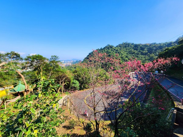 小百岳集起來-南勢角山2181146