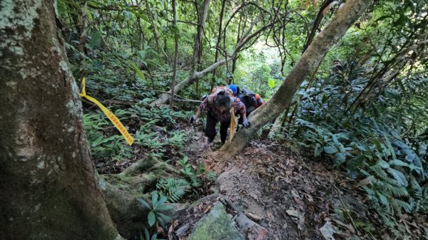 烏桶縱走(烏來山→大桶山)忠治出全紀錄2915212