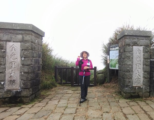 陽明山輕鬆走2991986