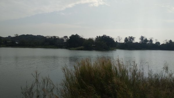 2020 2/4 虎頭埤878938