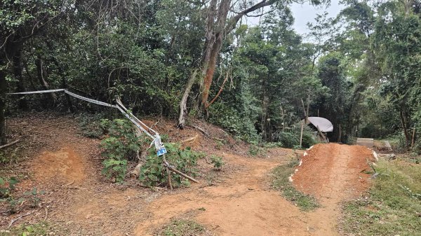20251226糖塔山-埤塘窩山-石頭坑山2969771