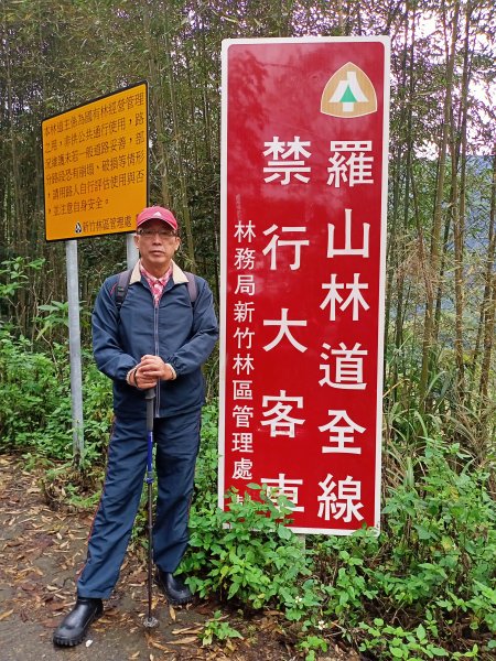 迷霧森林的羅山林道北線、油羅山 H1764m (巧遇野孩子小樂)1531415