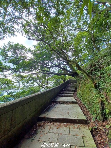 【新北瑞芳】黃金山城好展望。 小百岳基隆山x九份老街2847153