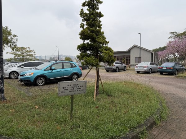 [山海圳_內海之路_第二段] 2026_0228 臺灣歷史博物館_茄拔天后宮3009269