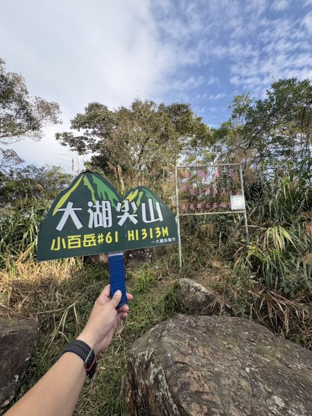 20251122大湖尖山步道(啟登直上第三涼亭)