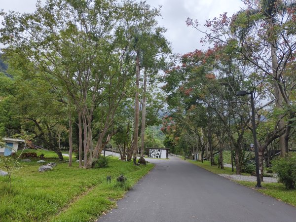 [漫遊縱谷 愛在花東-08/10] 2025_1012 林田山林業文化園區步道2913511