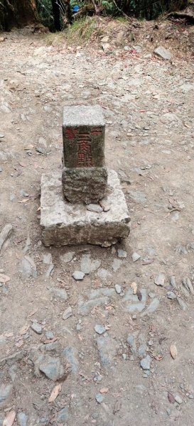 中級山-鳶嘴稍來2889046