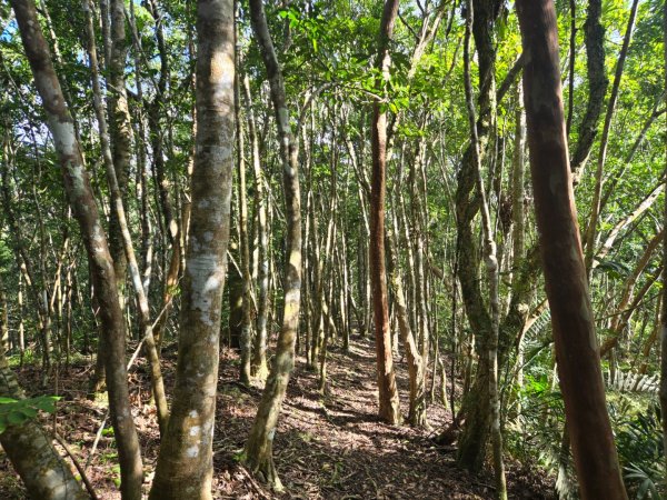 月眉山（小百岳）3000559