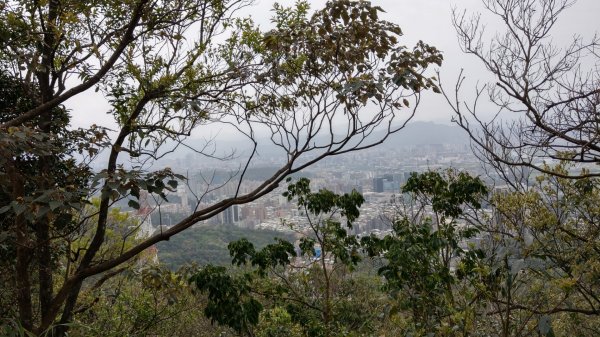 內湖金面山步道890442