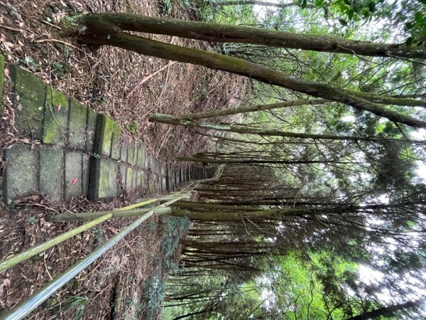 20230924_大湖尖山、大凍山（嘉義縣小百岳）2762728