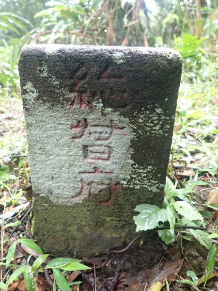 2022-04-01　天氣陣雨，翡翠坑山探索1660647