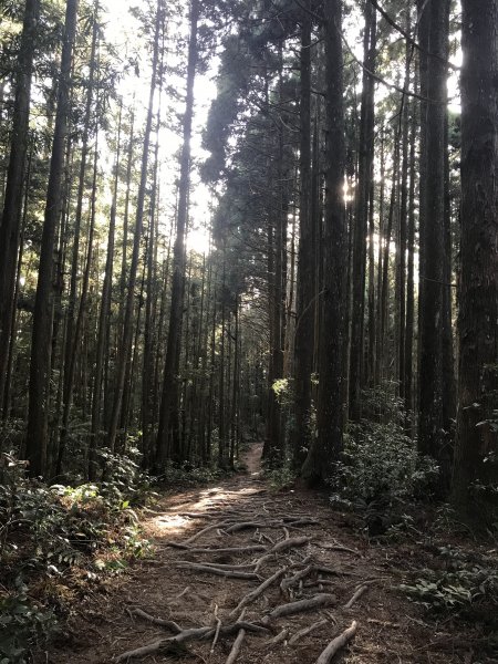 登山野營兩相宜~高島縱走1488845