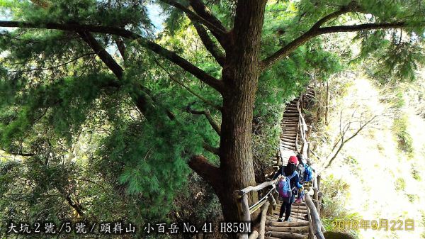 大坑2號/5號二登頭嵙山409099