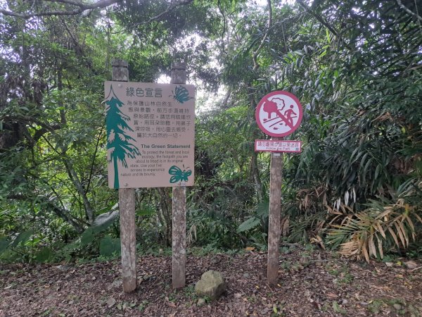 小百岳集起來月眉山步道3113056