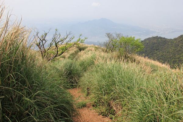 大屯山主、南、西峰O型322208