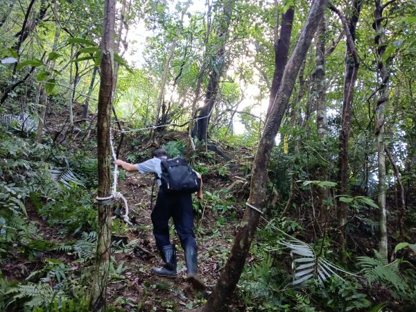 雙溪區雙坪一號橋+盤山坑山+土地公山+474峰+石硿子越嶺古道O型2936391