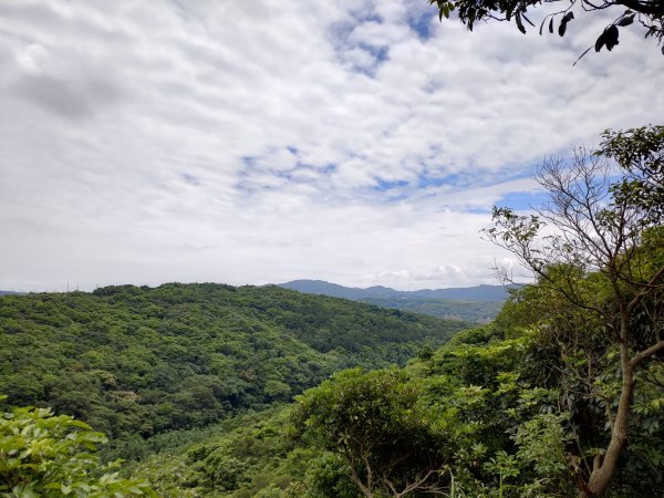 桃園-虎頭山小路亂走