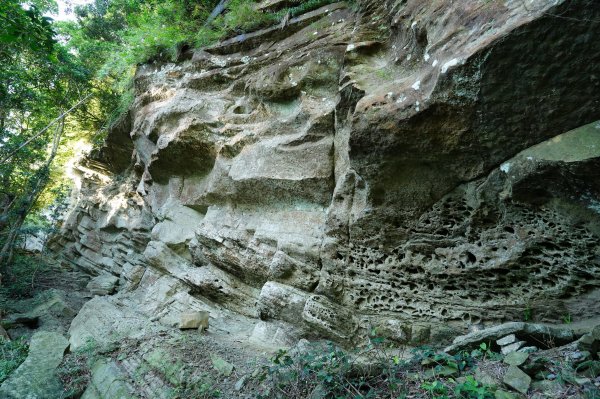 新北 三峽 金敏子山、詩朗山、塞口坑山、內金敏山2565617