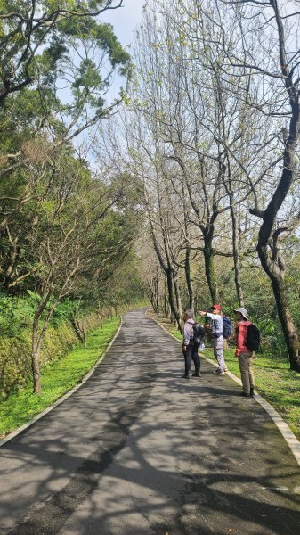 2025-0204 鶯歌_大凍山_三角埔頂山_迴龍2707872