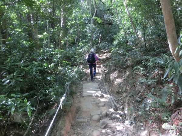觀日坪古道．飛鳳山182480