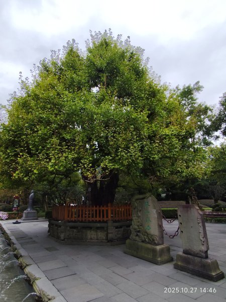 四川都江堰景區2937528