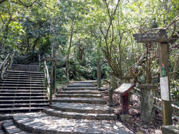 大崙頭尾親山步道走往大溝溪親水公園1430953